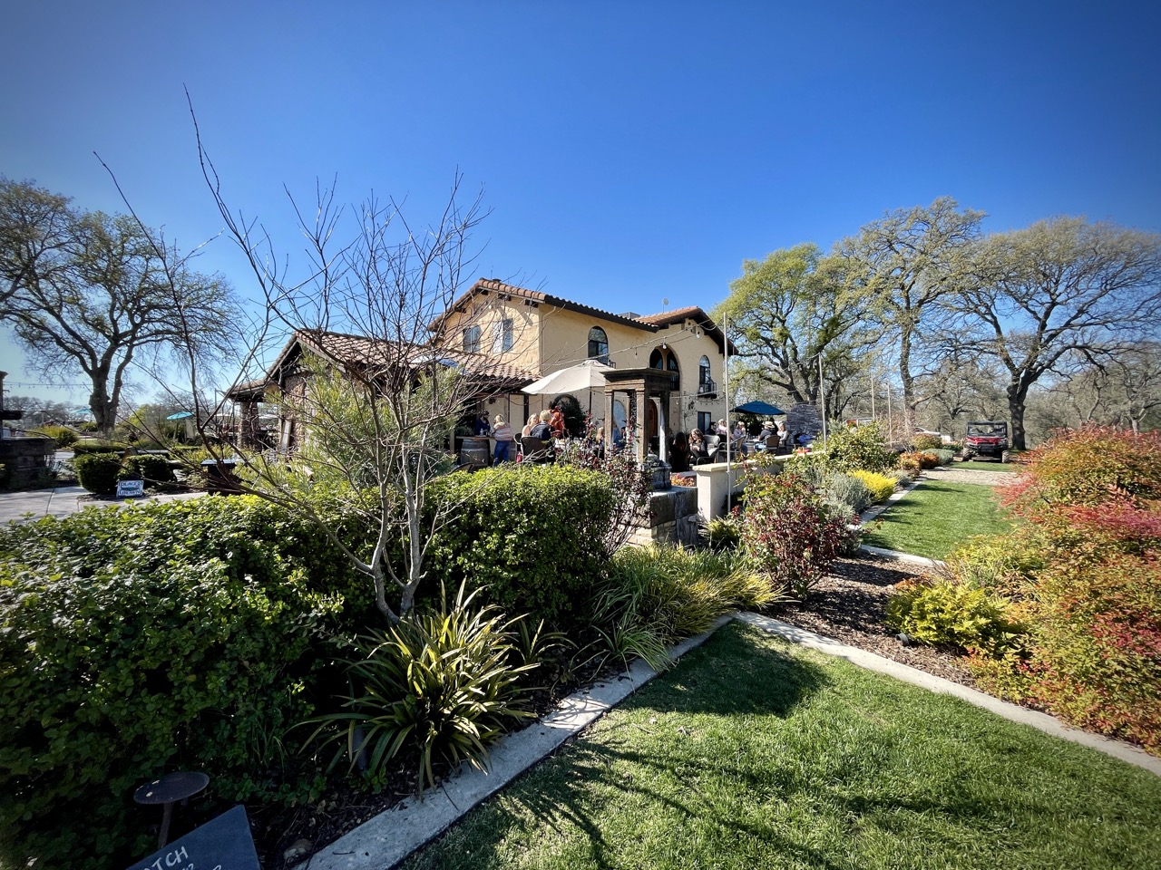 Rancho Roble Vineyards