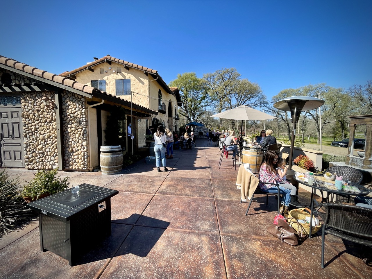 Rancho Roble Vineyards