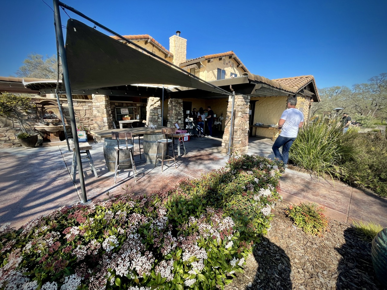 Rancho Roble Vineyards