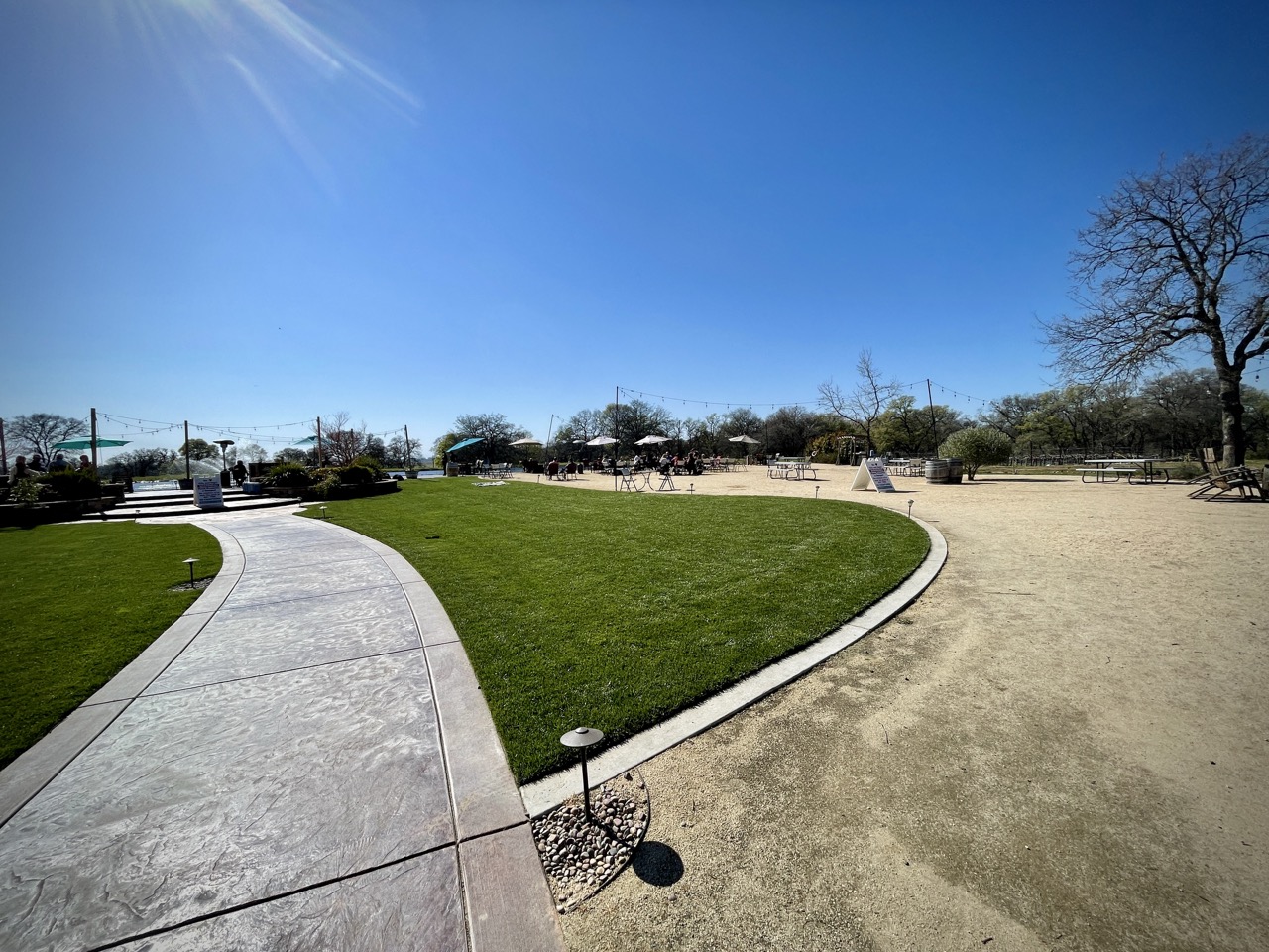Rancho Roble Vineyards