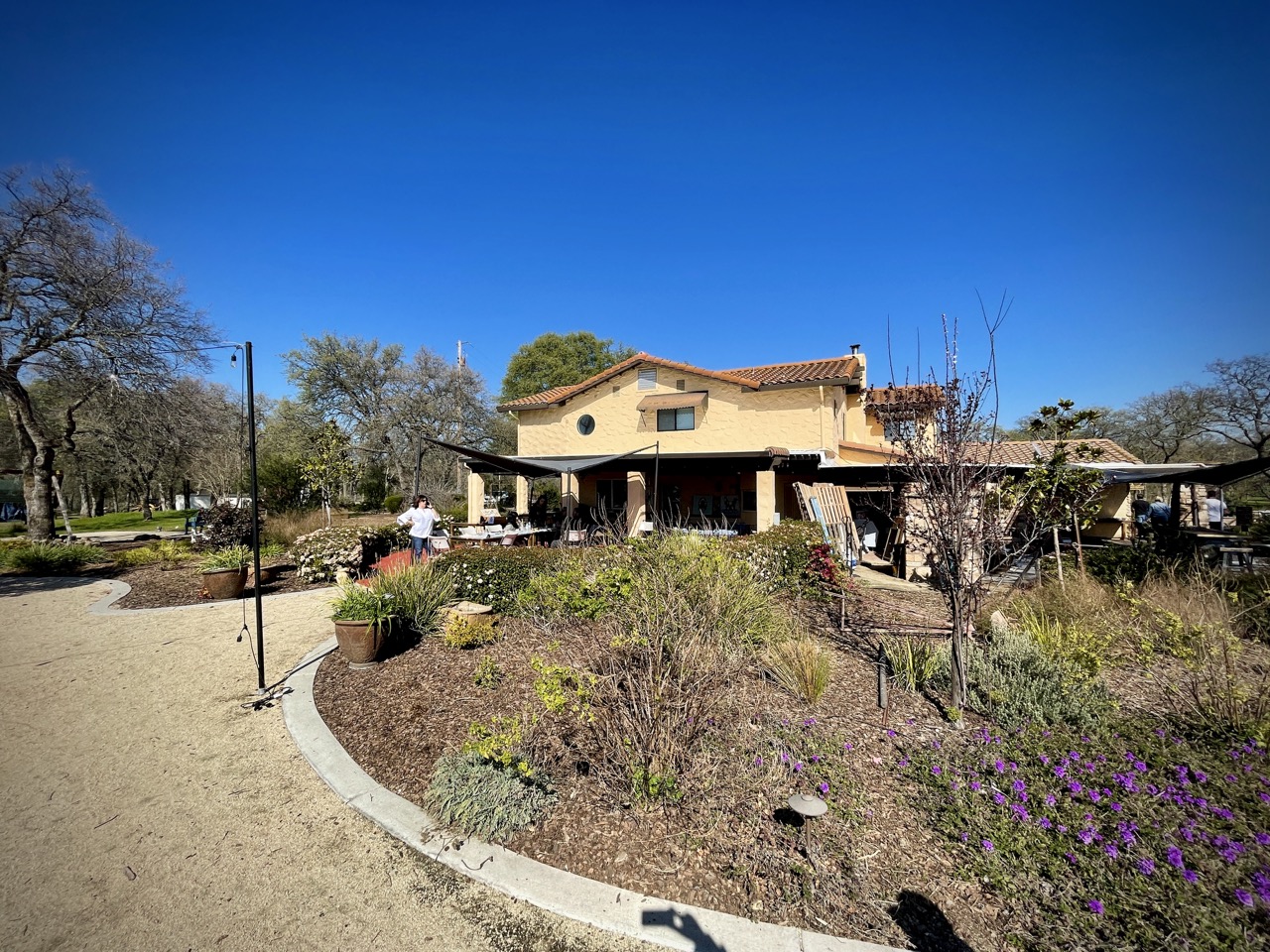 Rancho Roble Vineyards