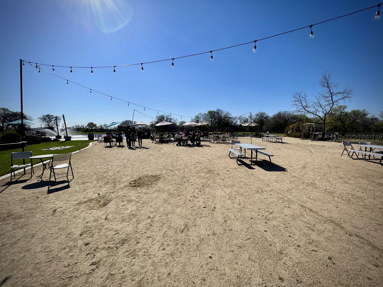 Rancho Roble Vineyards