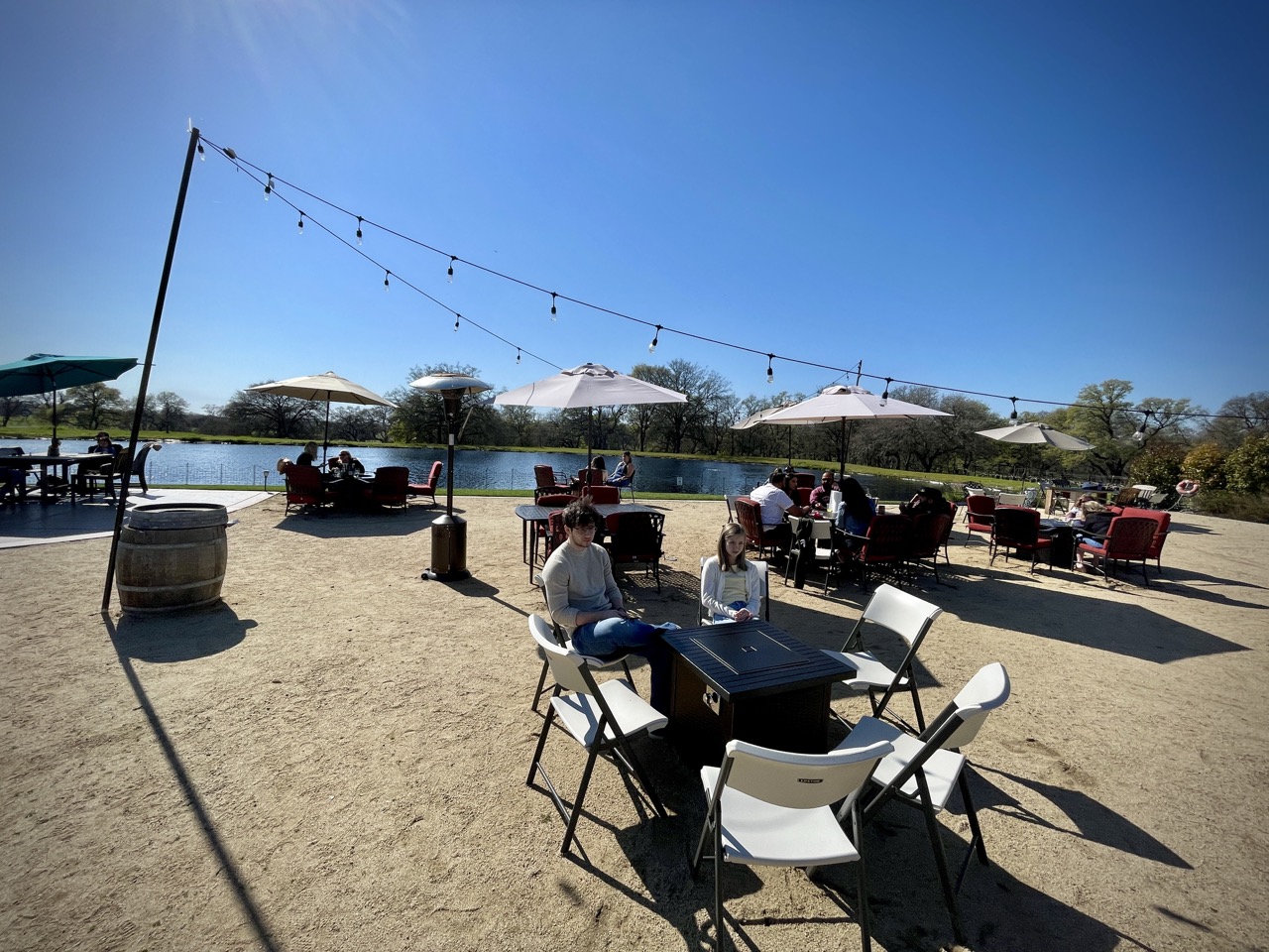 Rancho Roble Vineyards