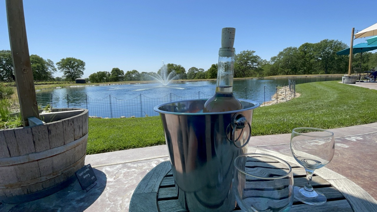 Rancho Roble Vineyards