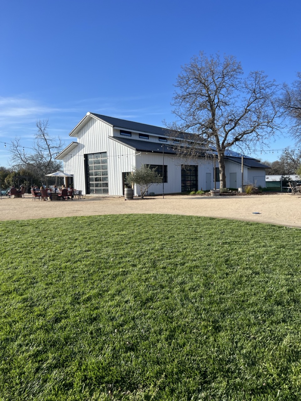 Rancho Roble Vineyards