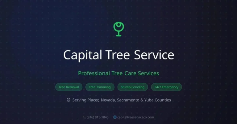 Capital Tree Service logo