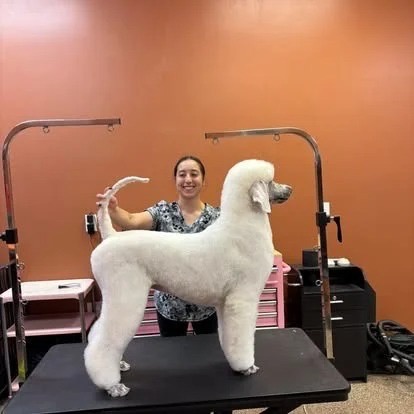 Lincoln Pet Spa