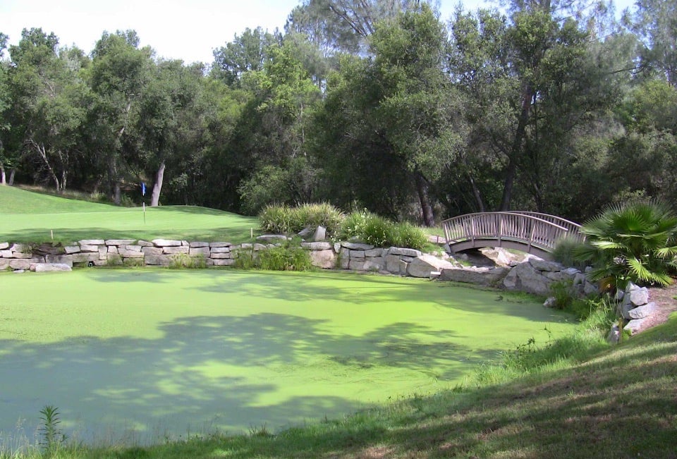 Turkey Creek Golf Club