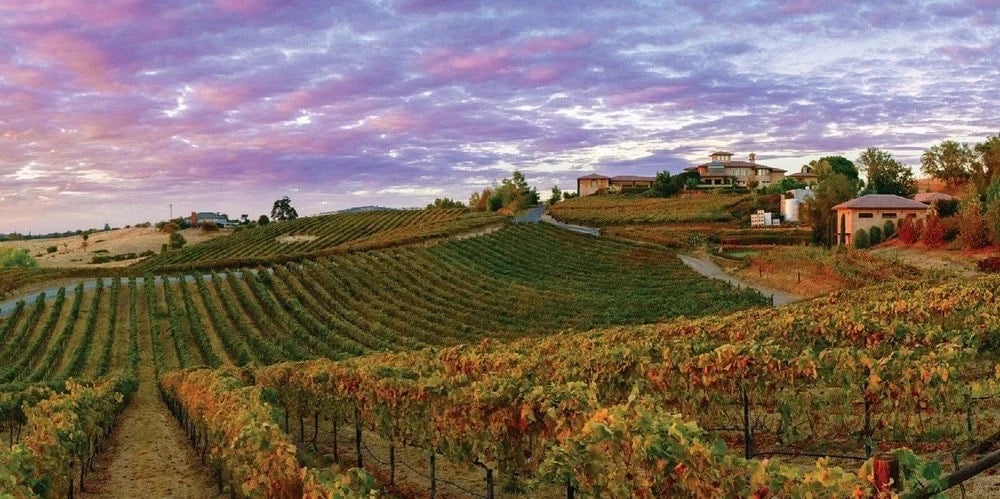 Wise Villa Winery Restaurant
