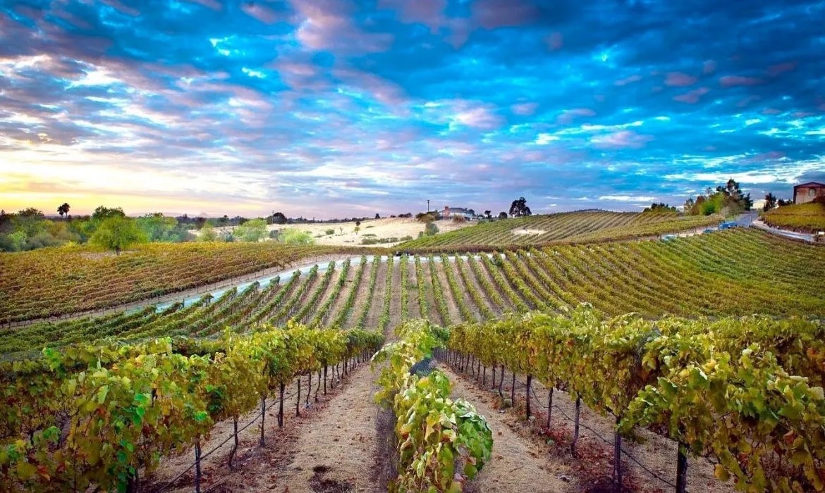 Wise Villa Winery Restaurant