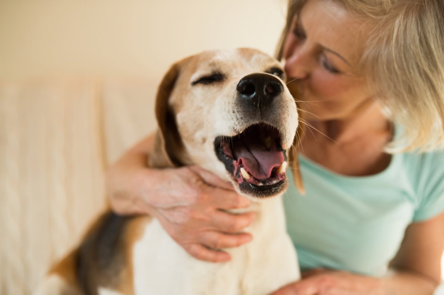 Tracy Veterinary Hospital & Urgent Care