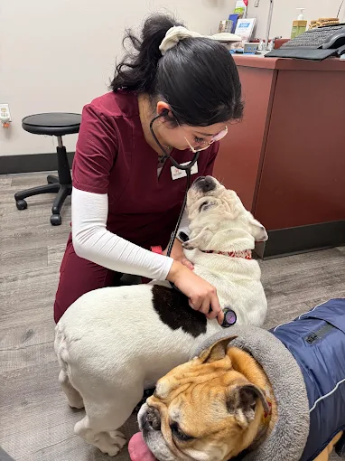 Paws and Claws Veterinary Hospital