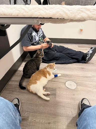 Paws and Claws Veterinary Hospital