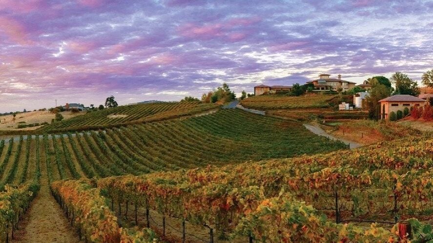 Wise Villa Winery Restaurant